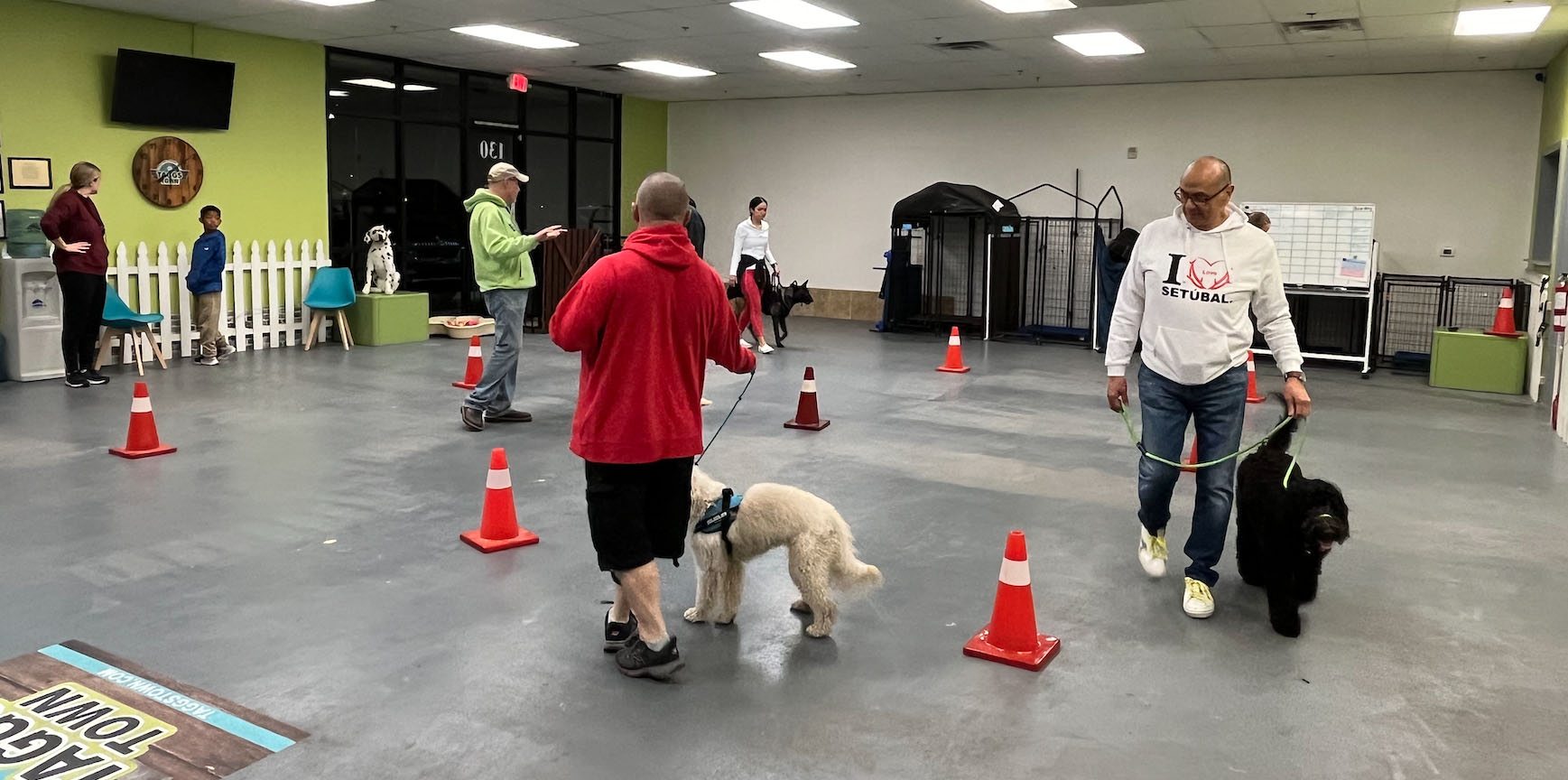 Taggs K9 Dog Training, business photo 2